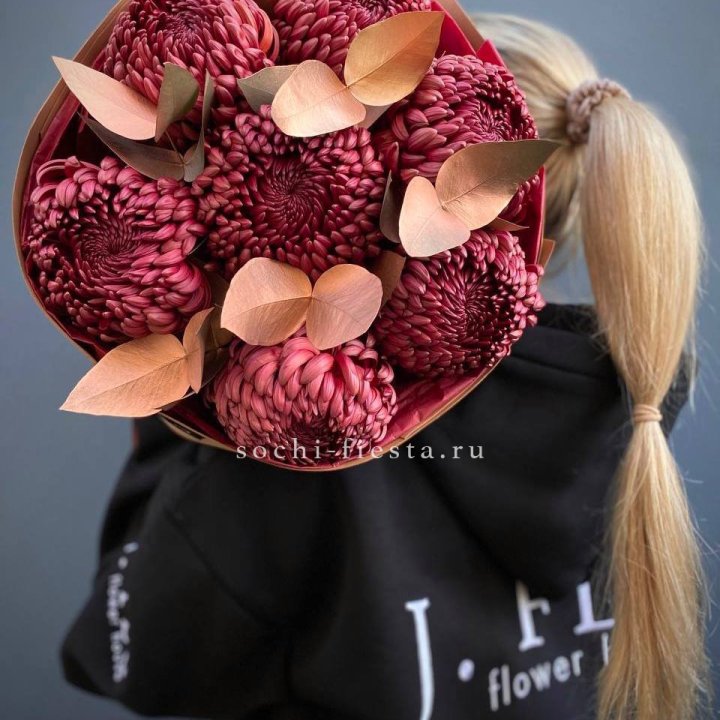 Хризантемы "Голд шоколад" в Москве