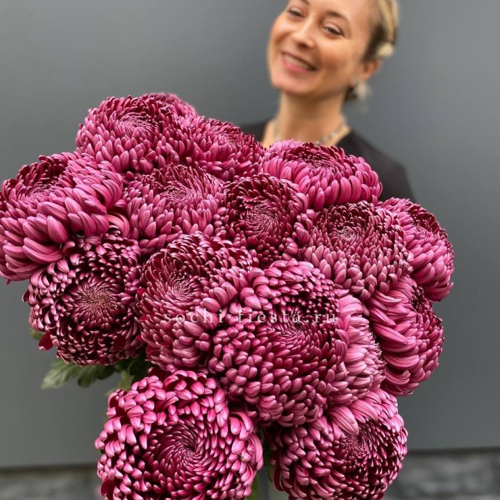 Охапка хризантем Бигуди в Москве