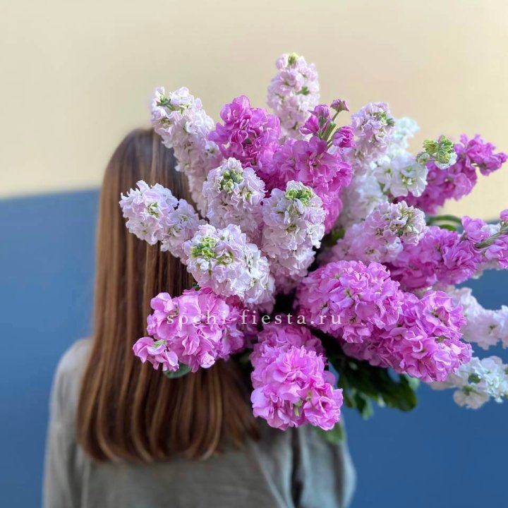 Охапка маттиолы в Москве