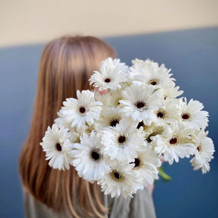 Охапка гербер в Москве