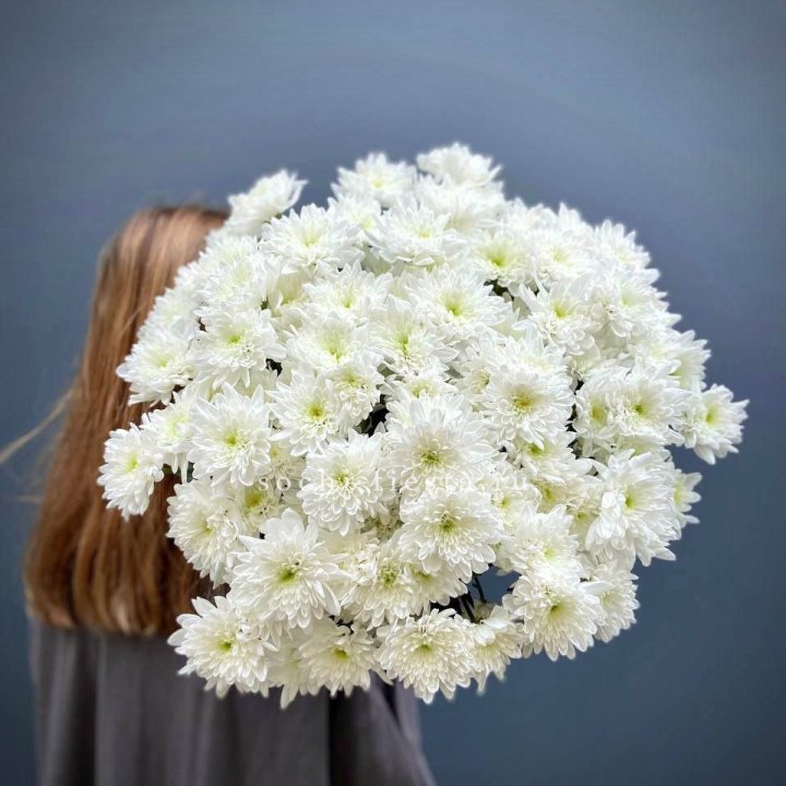 Охапка Хризантемы кустовой в Москве