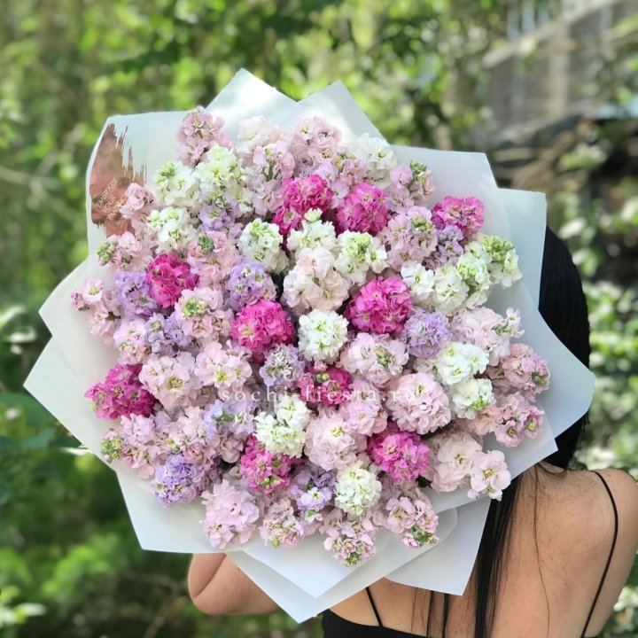 Букет ароматной маттиоллы №3 в Москве