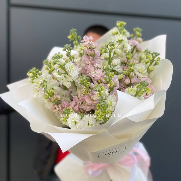 29 маттиол  в Москве