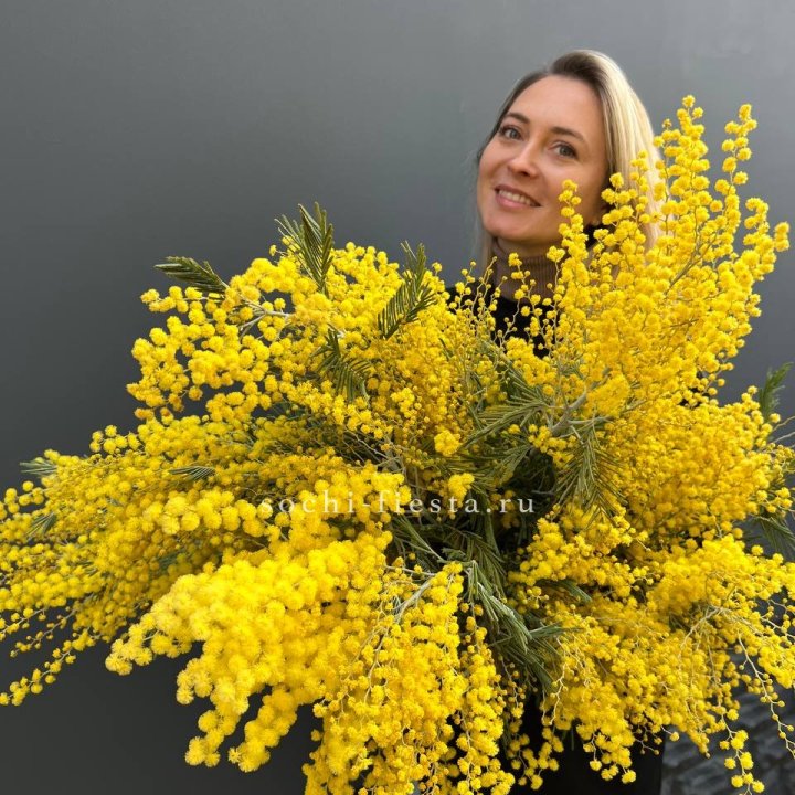 Охапка мимозы №2 в Москве