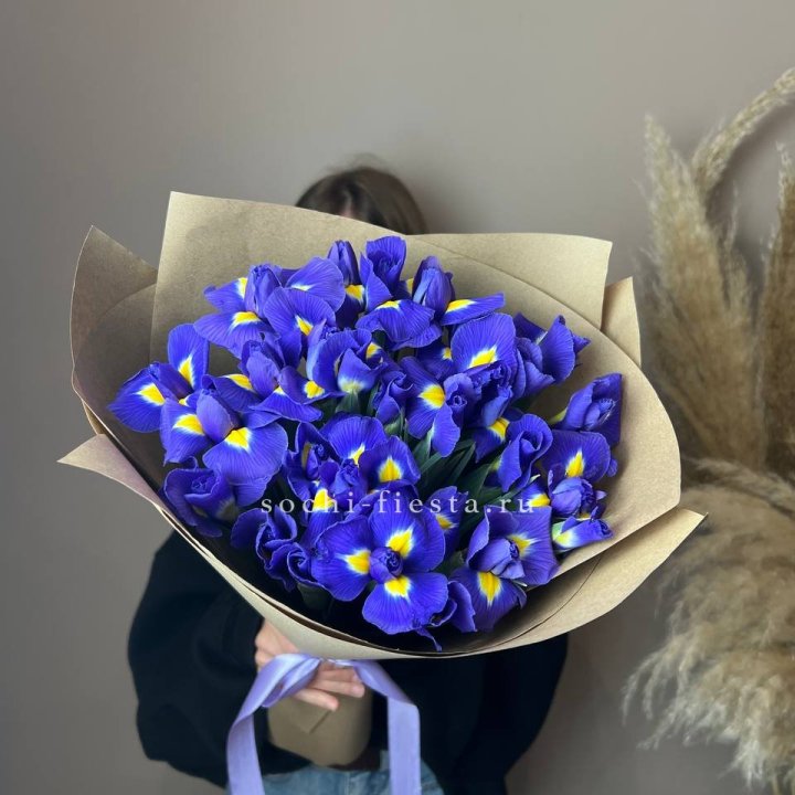 Ирисы в Москве