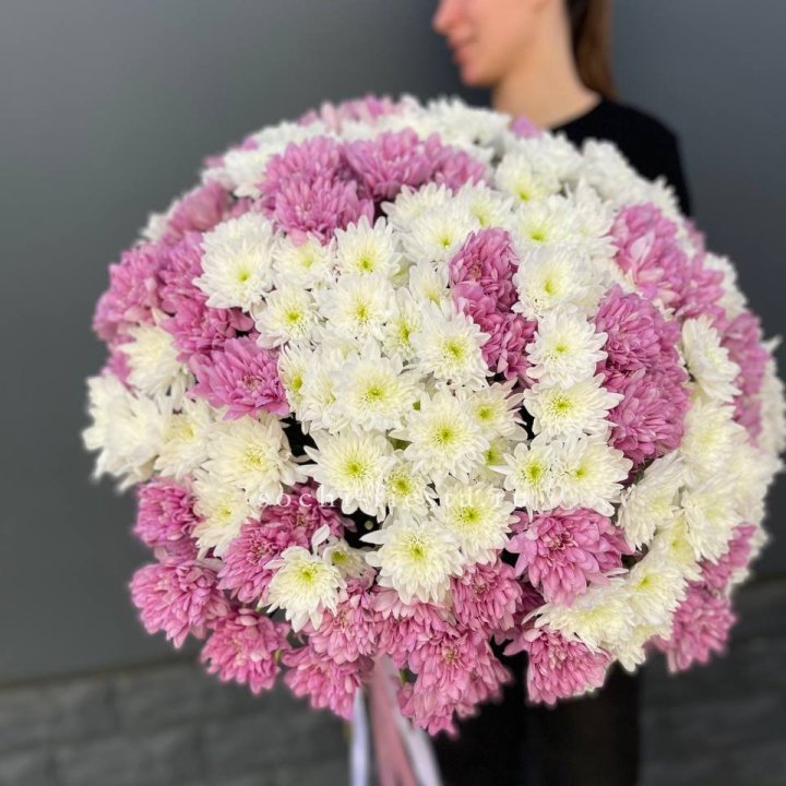  Букет 25 хризантем микс в Москве