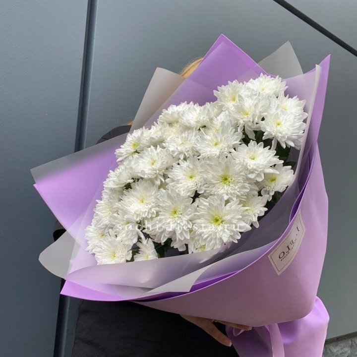  7 хризантем  в Москве