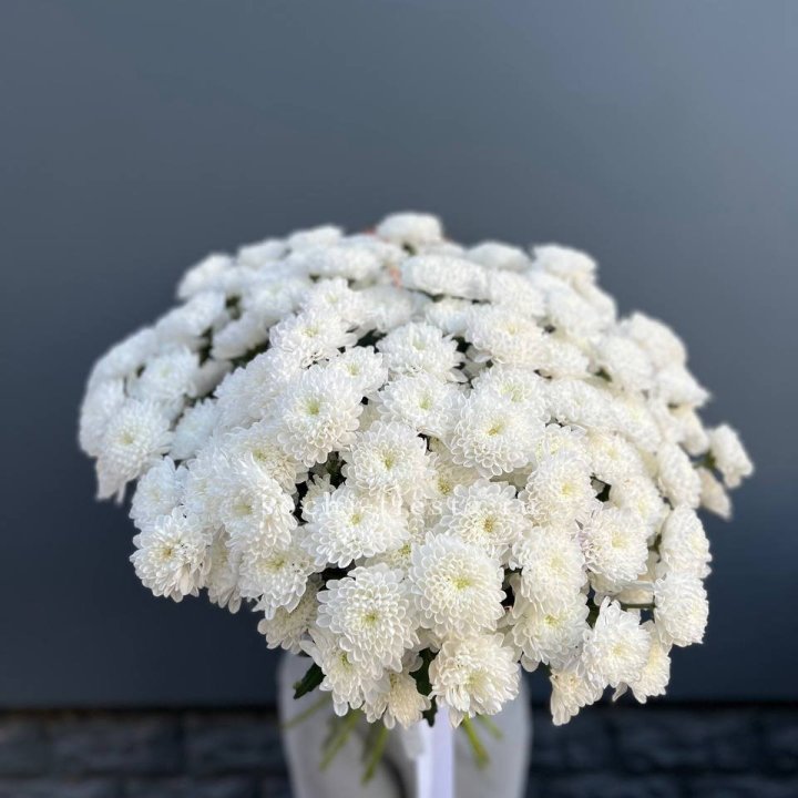  25 хризантем белых в Москве