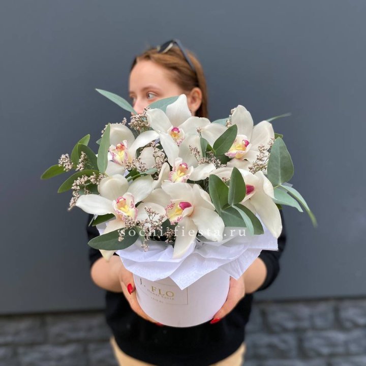 7 орхидей в боксе в Москве