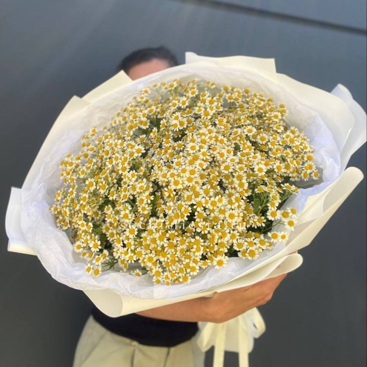 Букет ромашек №2 в Москве