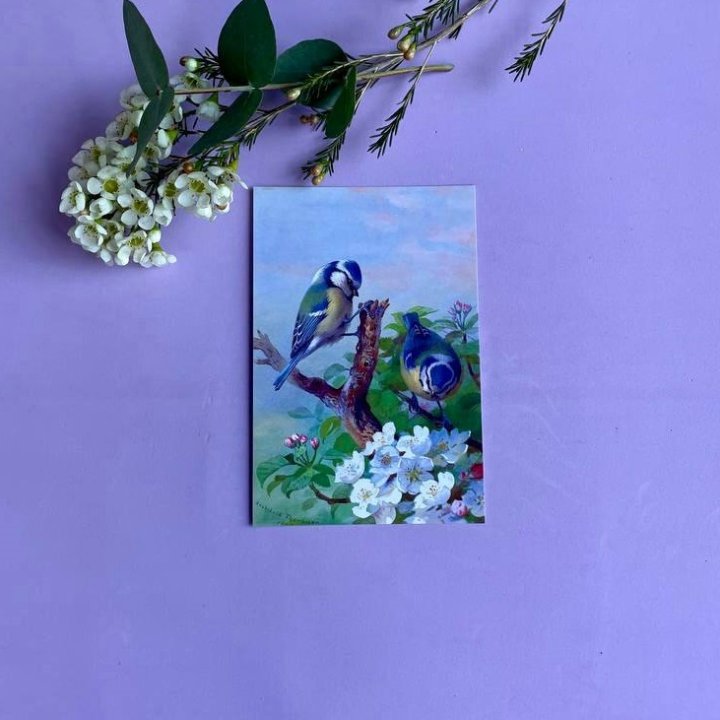 Открытка к букету "Птицы" в Москве