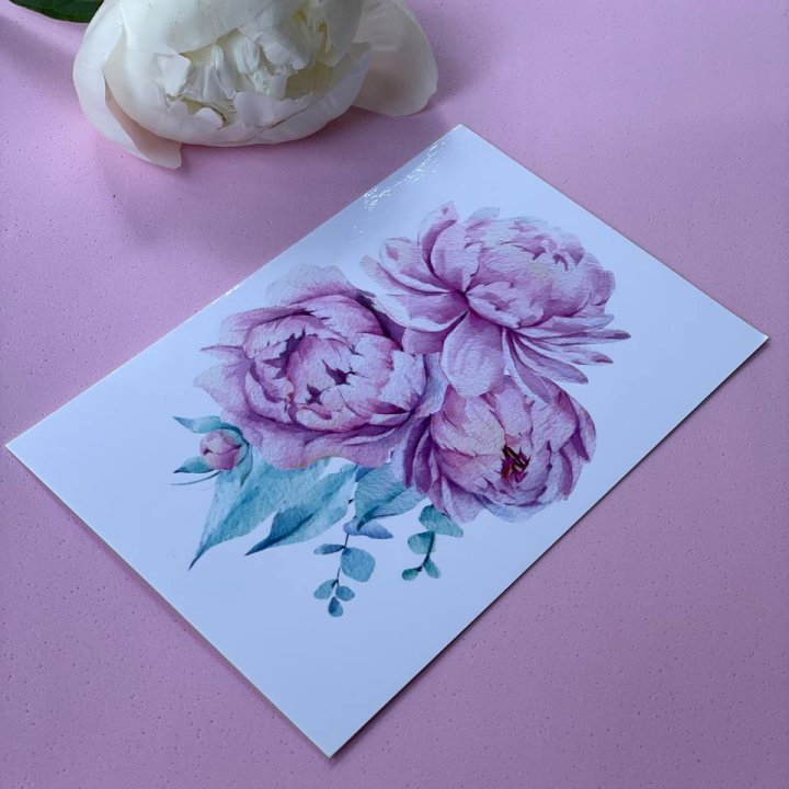 Открытка к букету "Пионы" в Москве