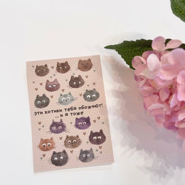Открытка к букету "Котики" в Москве