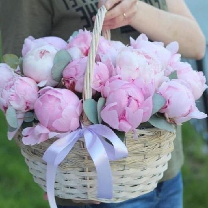 15 пионов в корзине в Москве