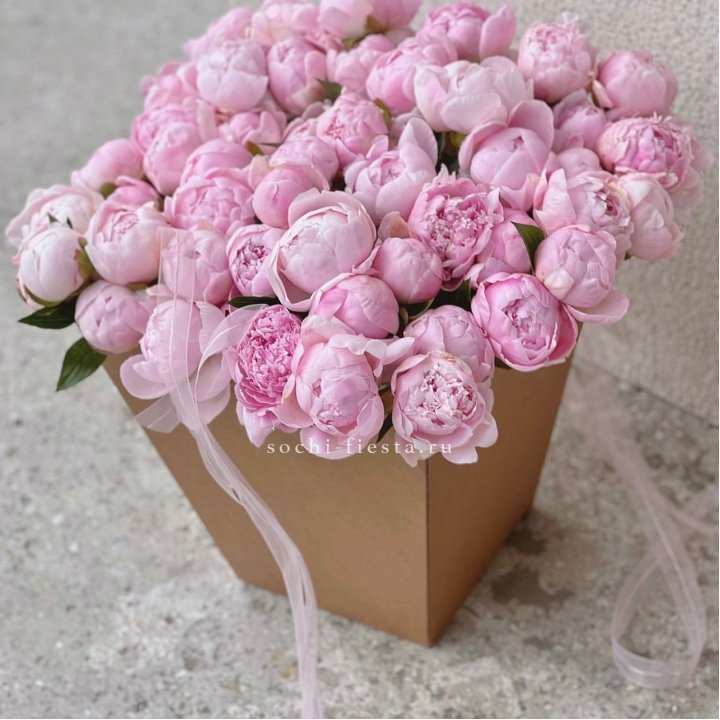 49 пионов в крафт коробке в Москве