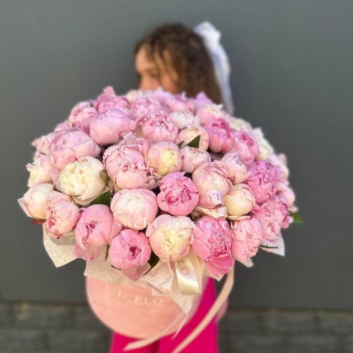 51 нежных пионов  в цилиндре в Москве