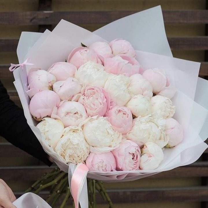 29 пионов в Москве