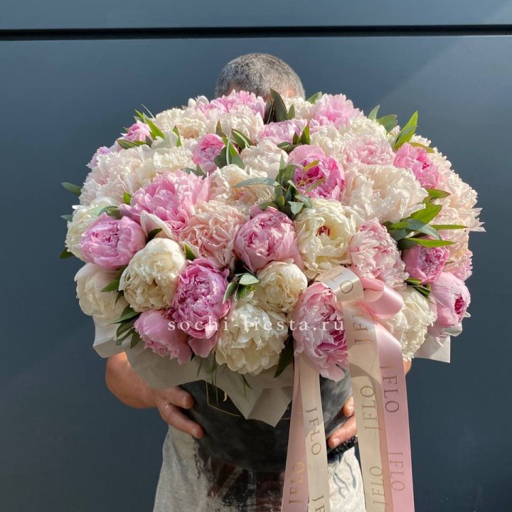 51 пионов в боксе в Москве