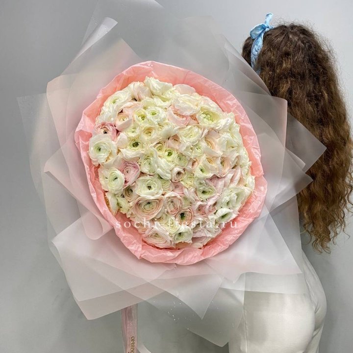 113 ранункулюсов  в Москве