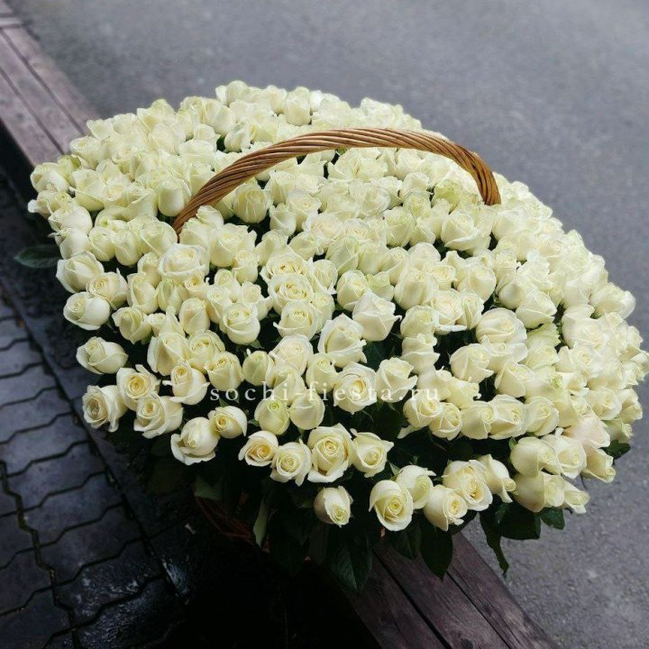 303 розы в корзине в Москве