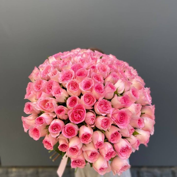 101 розовая роза в Москве