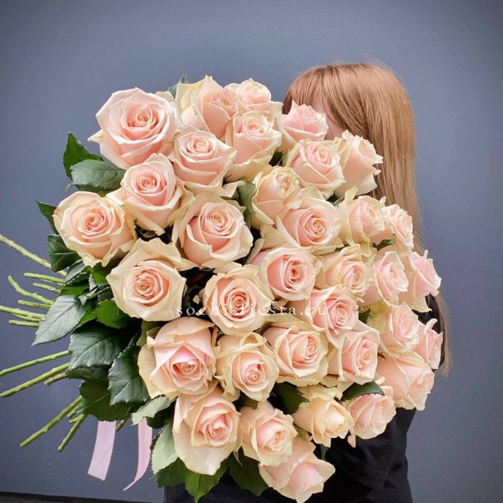 35 кремовых высоких роз в Москве