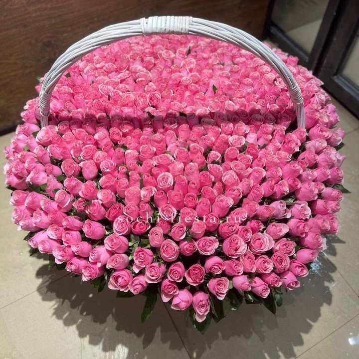 501 розовая роза в Москве