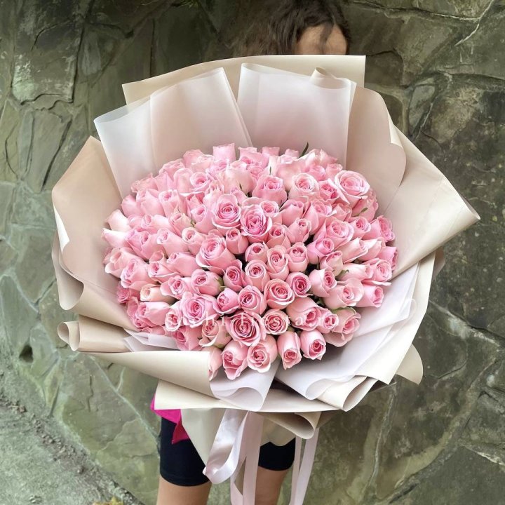 101 нежно-розовая роза Каролина  в Москве