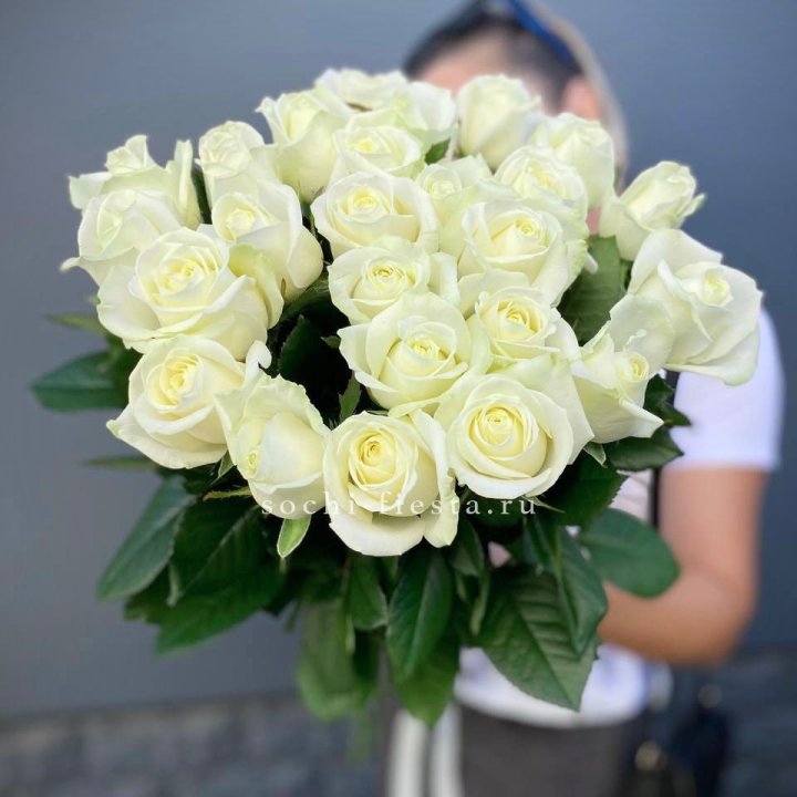 Голландские розы белые 25 с доставкой в Москве