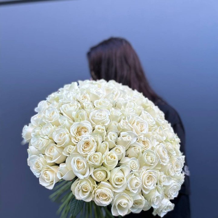 Охапка из 101 белой розы  в Москве