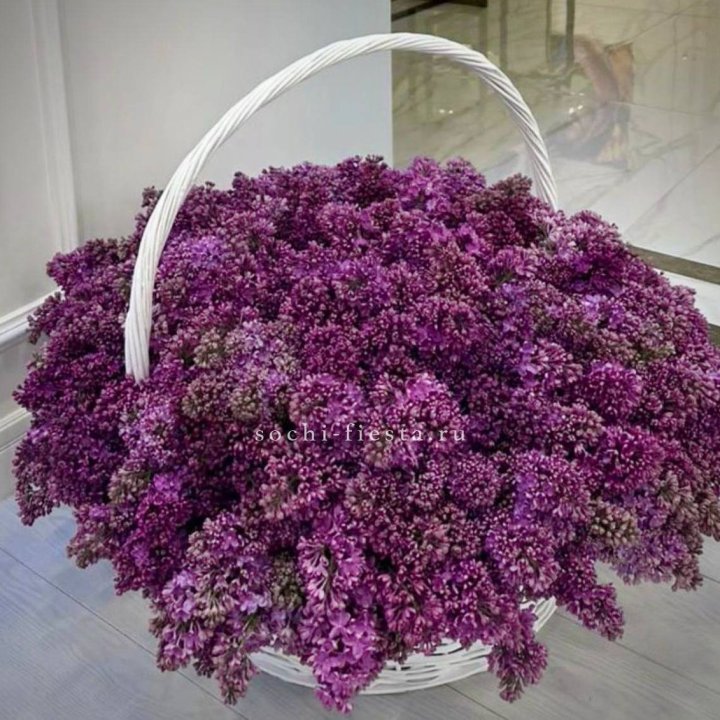 Корзина сирени в Москве