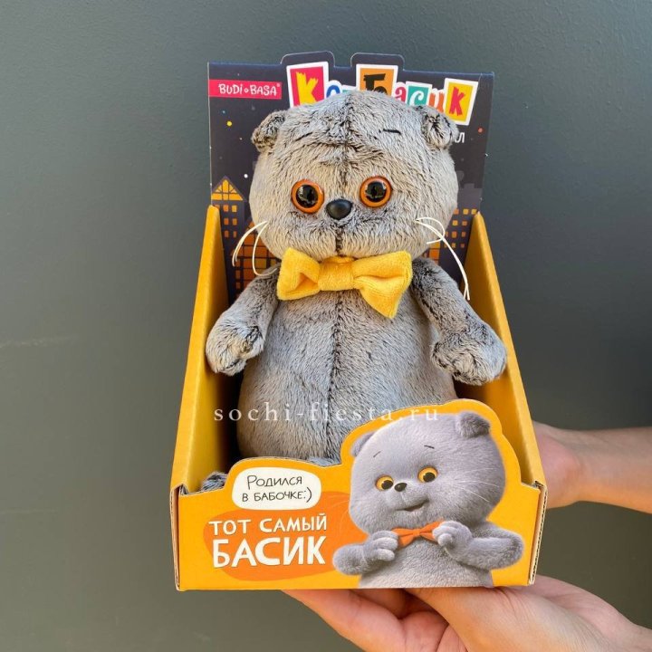 Кот Басик с бабочкой в Москве