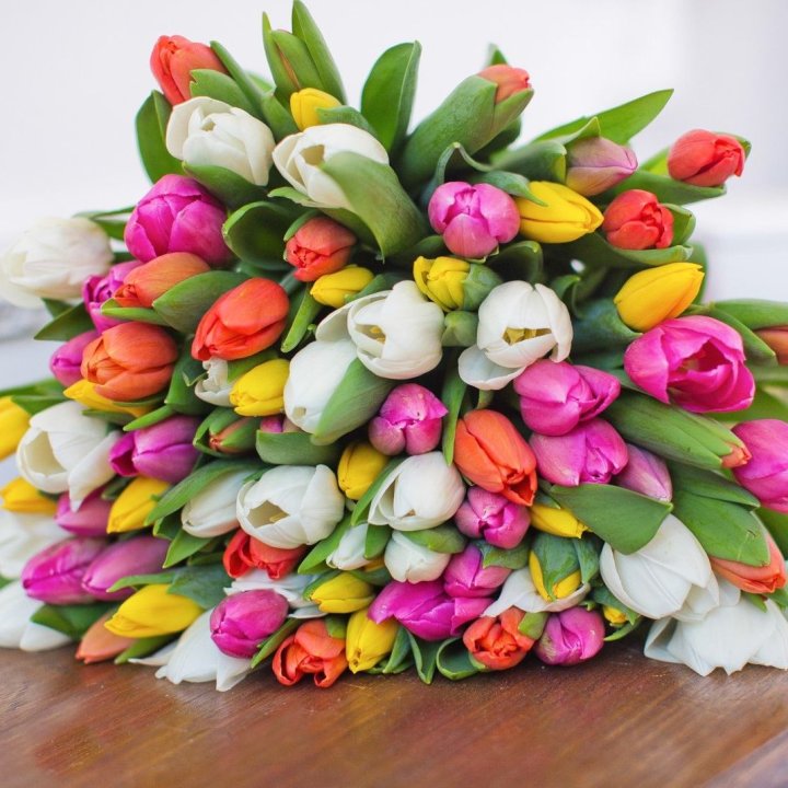 79 тюльпанов "Рандом" в Москве