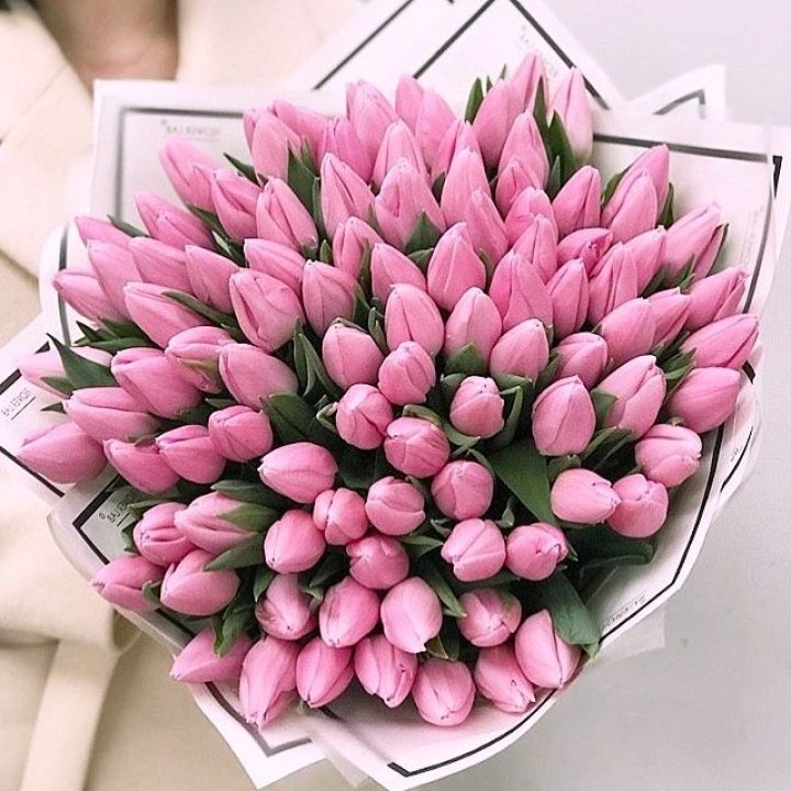 101 розовый тюльпан в белом в Москве