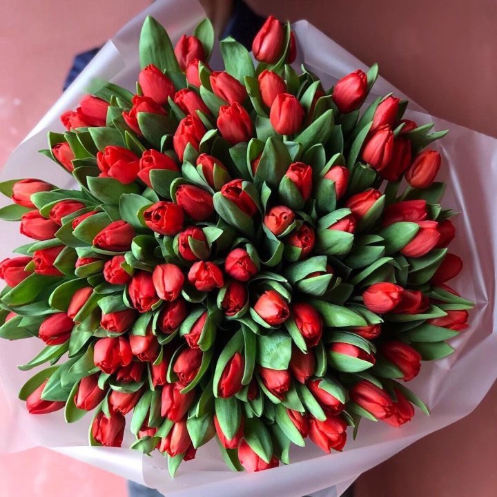 101 красный тюльпан в Москве